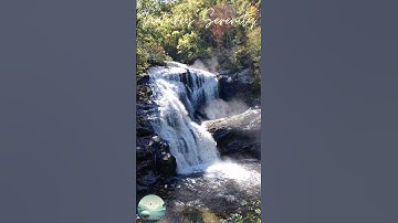Gentle River Flow with Relaxing Stone Water Droplets for Sleep. #ambientnature #calmnaturescenes