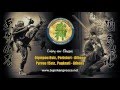 Xxvii summer camp ninjutsu greece 2016  gyokko ryu demo