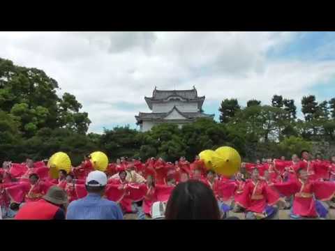 同志社大学　よさこい心粋20180825　どまつり　名古屋城