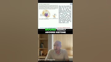 DNA Structure Unveiling Double Helix in Cells #music #neet #upsc #bpsc #science #biology #viralreels