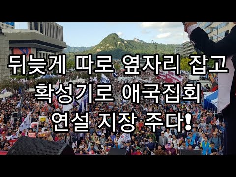 애국집회에 편승한 한국당과 황교안 연설을 들어준 시민들의 <strong>아량</strong>!
