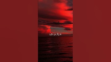 قران كريم سورة الحجر القارئ هزاع البلوشي🎧🥺راحه نفسيه 🕊️أجمل حالات واتس اب راحة لقلبك😴💚لتطمئن🥺🖤
