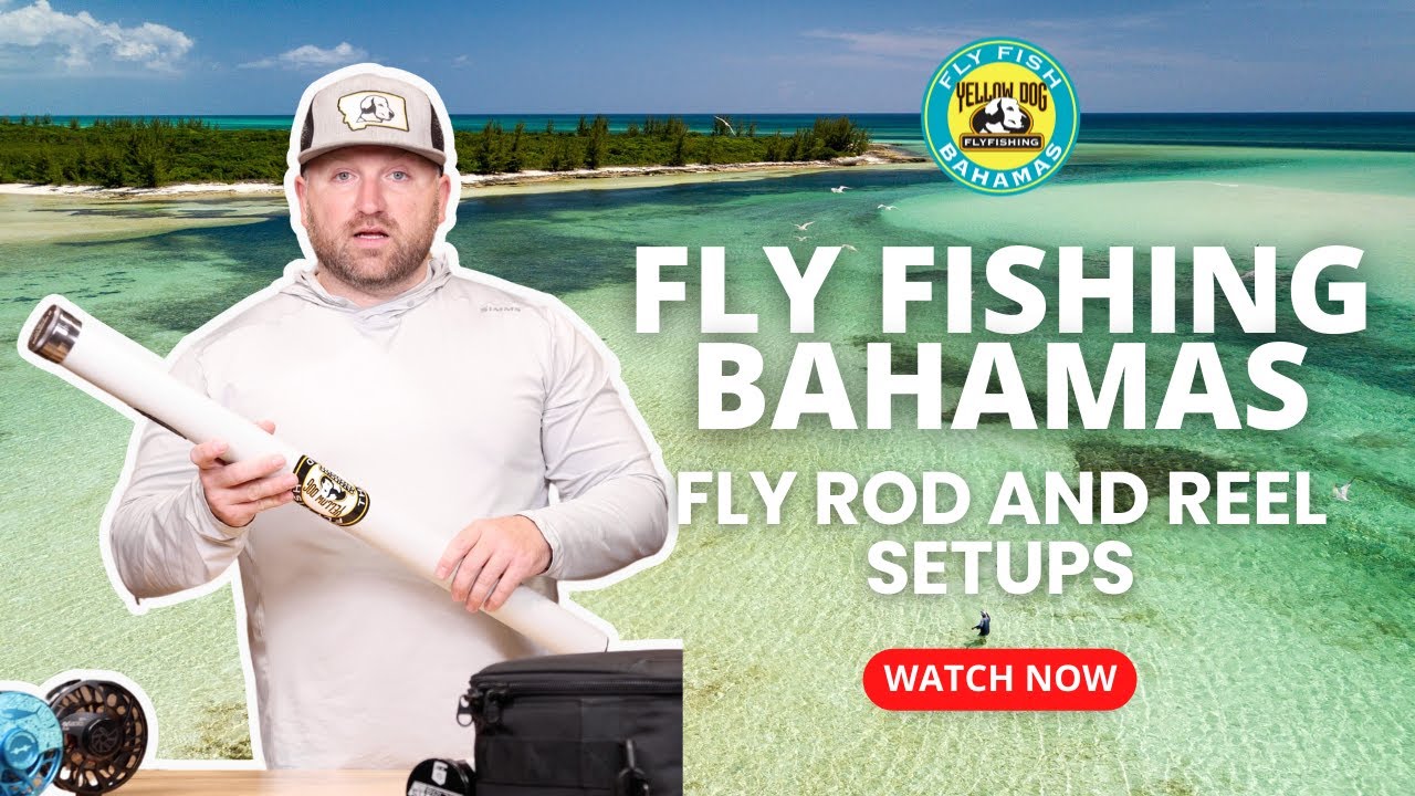 Rod and Reel Setups for Fly Fishing The Bahamas 