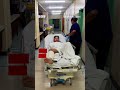 Рыбак из Новой Зеландии Генри Гиббс заснял на экшен-камеру, как на него нападает акула