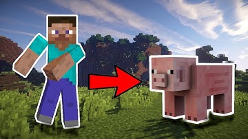 How to Morph into any Animal in Vanilla Minecraft | TUTORIAL