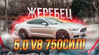 Обзор Ford MUSTANG V8 механика! ВЛАСТЕЛИН ЭМОЦИЙ! Форд Мустанг 5.0