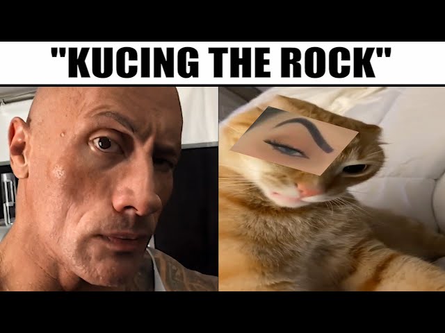 Kucing The Rock Eyebrow... class=