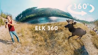 ELK VS 360 CAMERA