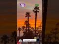 GTA 6 but in San Diego Sunset