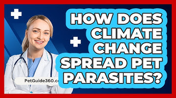 How Does Climate Change Spread Pet Parasites? - PetGuide360.com