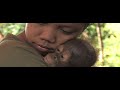 Orangutans, a matter of survival - WSPA