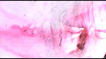 A Place To Bury Strangers - Let It All Go (Official Music Video)