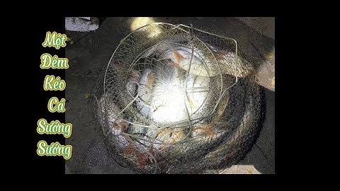 Câu Cá Basa Ngày Mưa và Cái Kết Ấm Lòng ||Trí Nguyễn 64Vlog # 13