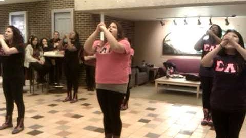 GVSU Sigma Lambda Gamma  Multicultural Greek Exhibition