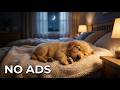 12 Hours Dog Calming Music 🐶 Separation Anxiety Relief | Deep Sleep Music for Dogs | No Ads