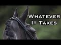 Whatever It Takes || Equestrian Music Video ||