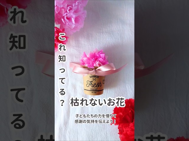 枯れないカーネーション