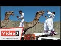 شاهد كيف تصرف جمل غاضب مع صاحبه