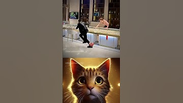 Give this video a title (wrong answers only) #cat #memes #funny