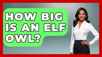 How Big Is An Elf Owl? - Bird Watching Diaries