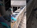 installing curved roof tiles by applying mortar carefully along the edge ensuring everything stays