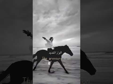 انت محارب عظيم