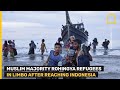 Rohingya refugees in limbo after reaching indonesia