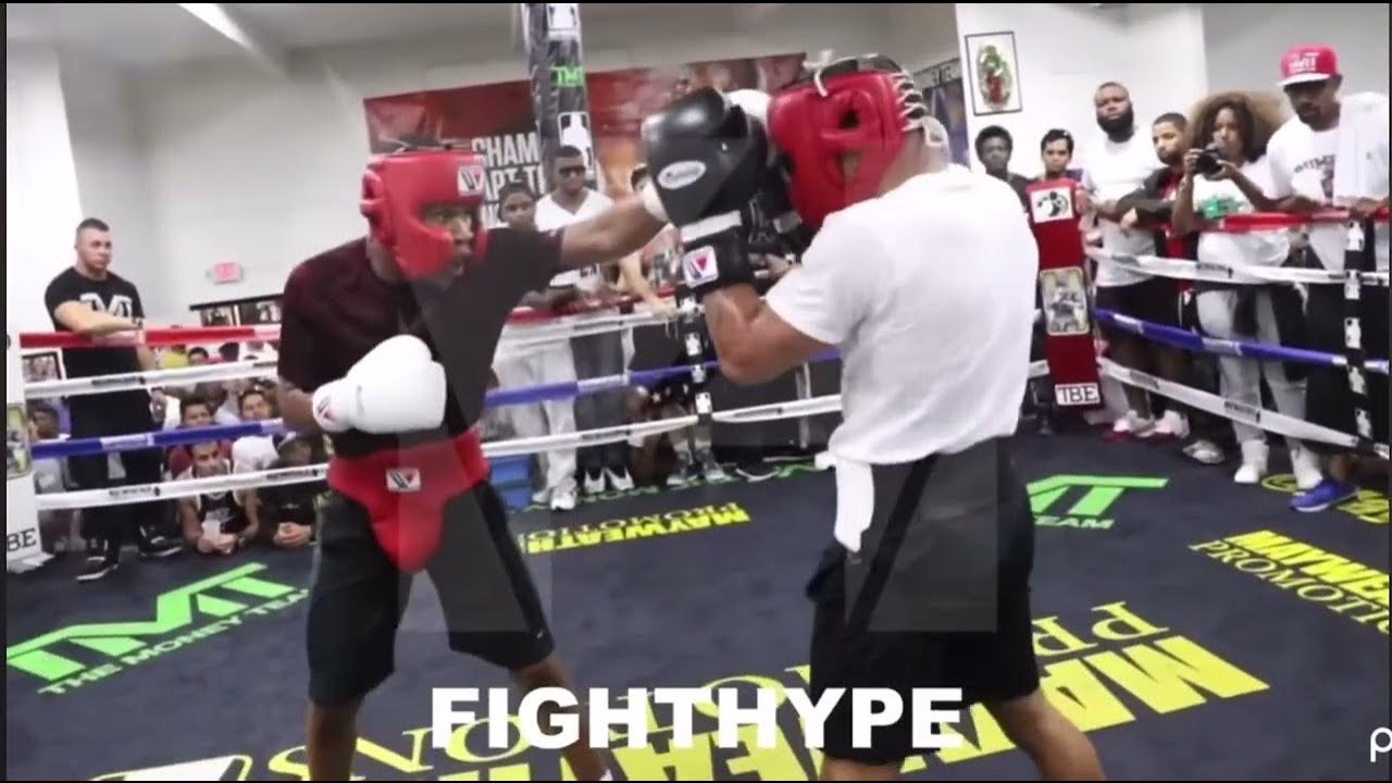 vs-gervonta-davis-vs-devin-haney-sparring-dog