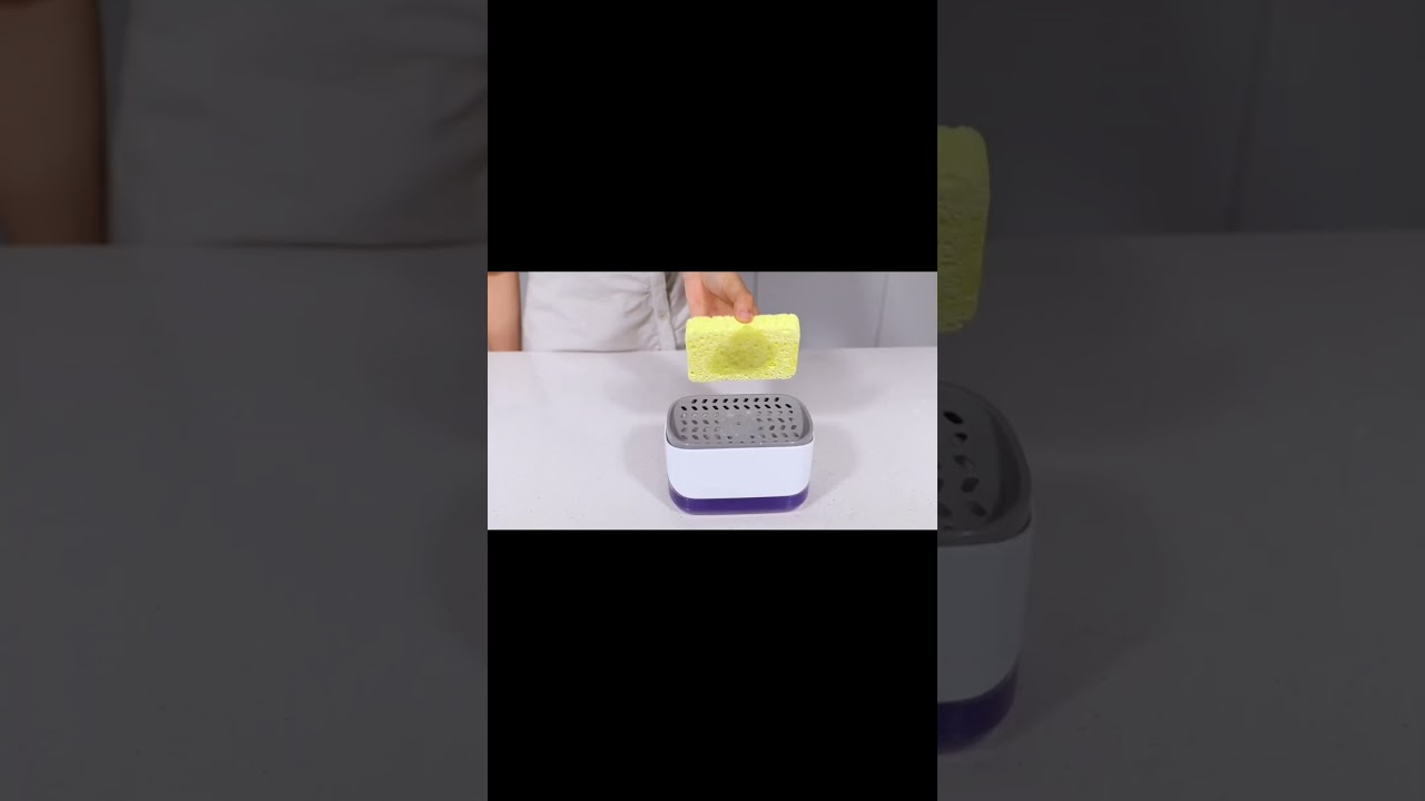 Kitchen Dish Soap Dispenser with Sponge Holder, 2-in-1 Countertop Soap Pump Dispenser 