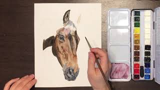 TimeLapse Watercolor Tutorial: Horse Portrait
