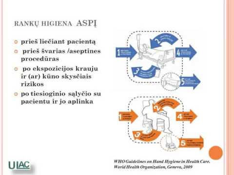 Video: Bakterinė Infekcija (leptospirozė) Katėms