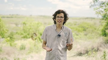 Treemapper app Plant for the Planet