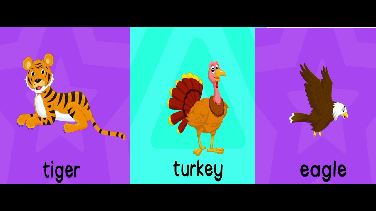 Learning Animals Insects and birds - Kiddie Knowledge | knowledge Video for kids