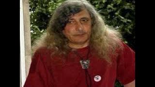 Pasarea Colibri Vis de primavara