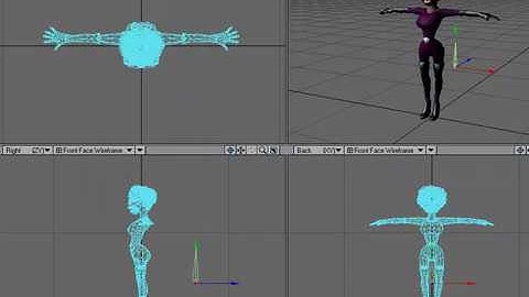 LightWave Bones and Rigging