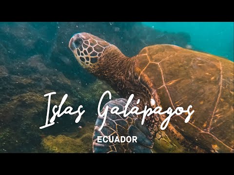 Video: 8 Islas de visita obligada en Galápagos