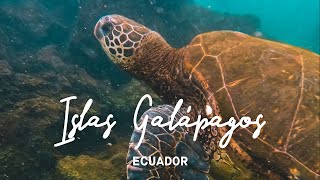 LAS ISLAS GALÁPAGOS: El último refugio (ECUADOR) 4K | enriquealex