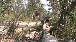 Emerald Pool Loop - Popran NP