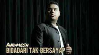 Download lagu Andmesh Kamaleng Bidadari Tak Bersayap Andmesh Kamaleng Bidadari Tak Bersayap