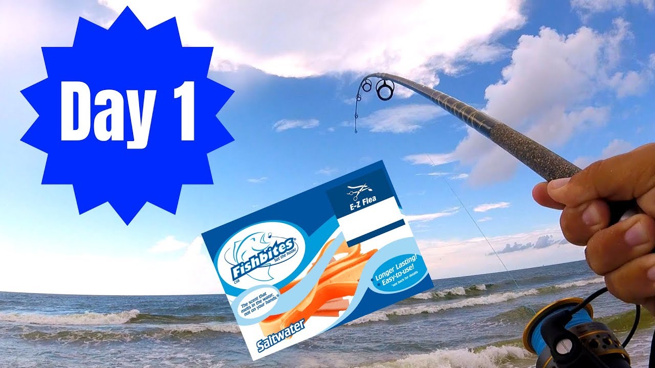 How Many Fish Can I Catch with this Bait Surf Fishing??? (Day 1) - YouTube