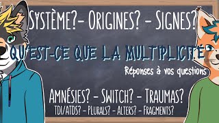 Quest-Ce Que La Multiplicité? Tdiatds Exemples