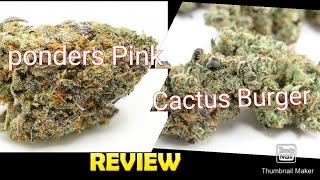 S6 Episode 9 Ponders Pink + Cactus Burger 🍔 Strain Review