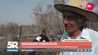 Más de 1000 hectáreas de bosque nativo se quemaron en septiembre el norte santafesino