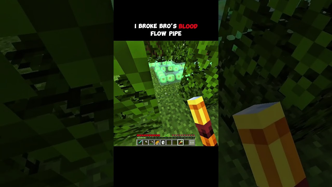 I Broke Bro's Flow Pipe 