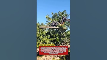 Amazing Tree Trimming Machine | Hydraulic Orchard Pruner in Action.