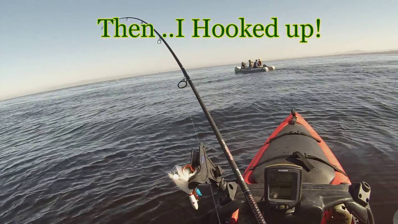 Kayak fishing Monterey YouTube