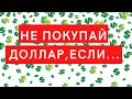 Стоит ли всем покупать доллар? Когда не нужно покупать доллар? Курс доллара на сегодня.