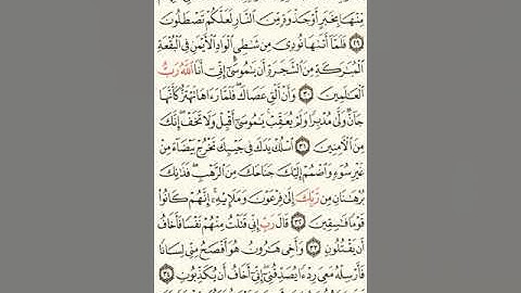 28سورة القصص للشيخ أبو معاذ أحمد مصطفى حفنى محمد الصياد