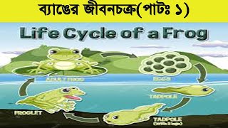 ব্যাঙের কিভাবে জন্ম হয়? এর জীবনচক্র আলোচনা করা হলো।অজানা তথ্য ।। Tadpole Transformation into a Frog