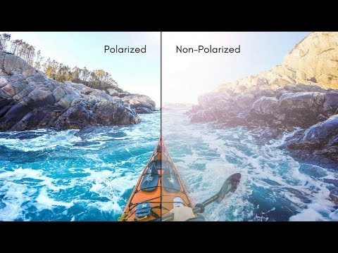 wayfarer polarized vs non polarized